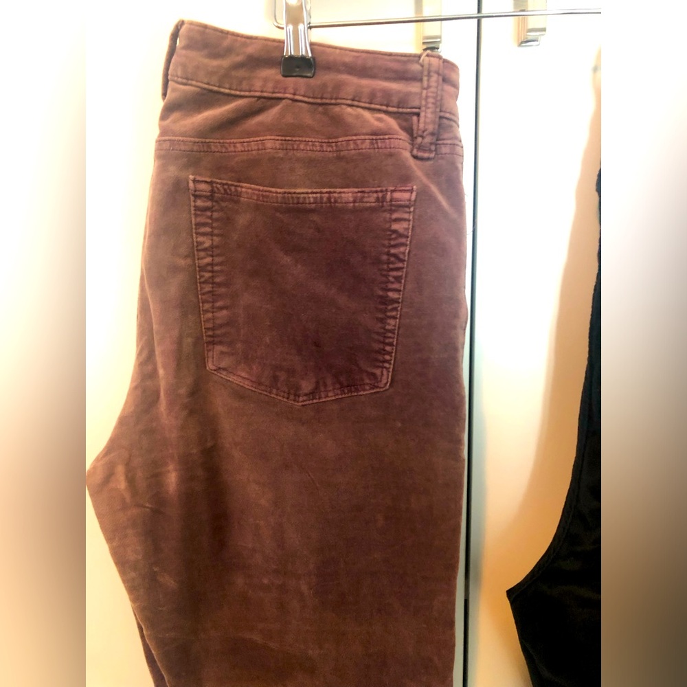 Lucky Brand Women's Mid Rise Skinny Ava Velvet Pants 10/30